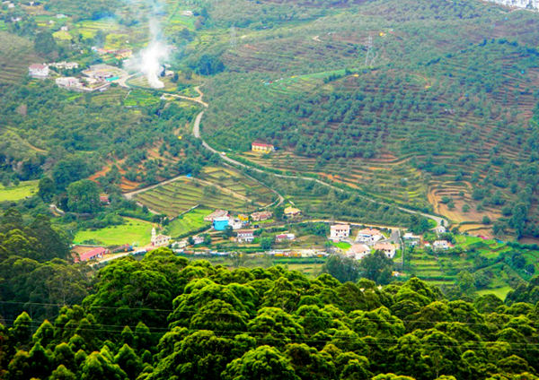 kodaikanal-FOREST-tour