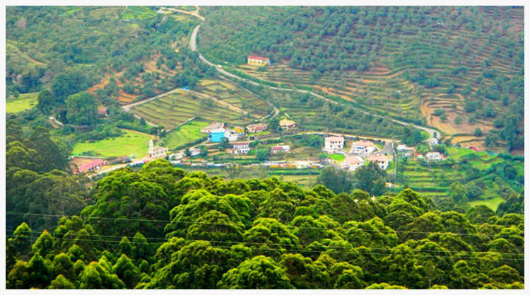 kodaikanal-local-tours