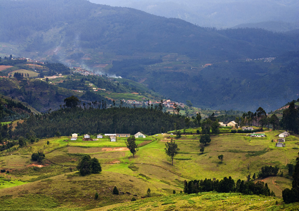 kodaikanal-picnic-tour